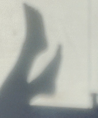 What we didn't know about selling feet pics online
